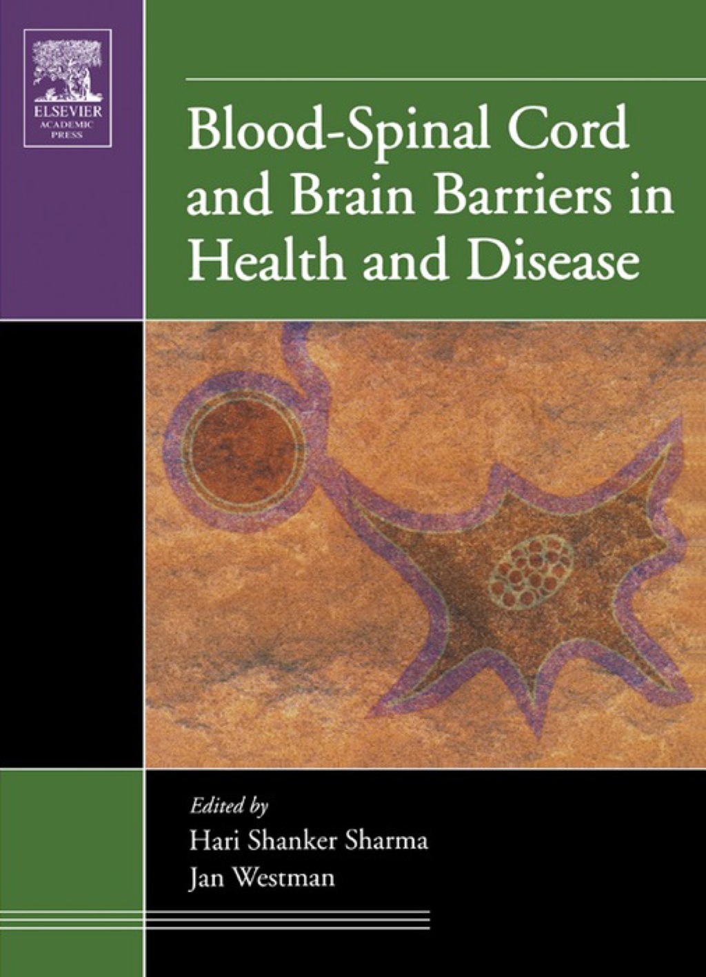 Blood-Spinal Cord and Brain Barriers in Health and Disease â€“ PDF/EPUB ...