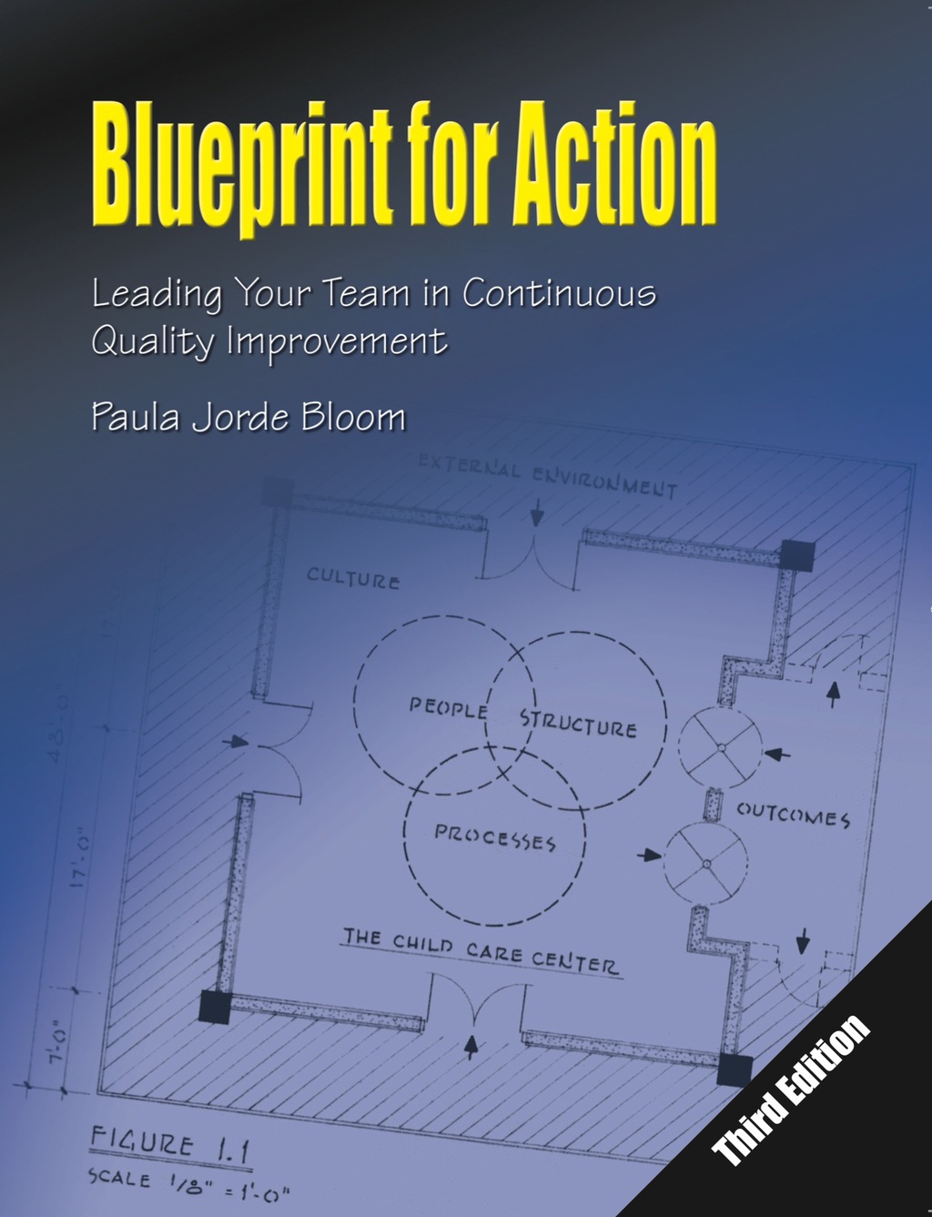 Blueprint for Action: Leading Your Team in Continuous Quality ...