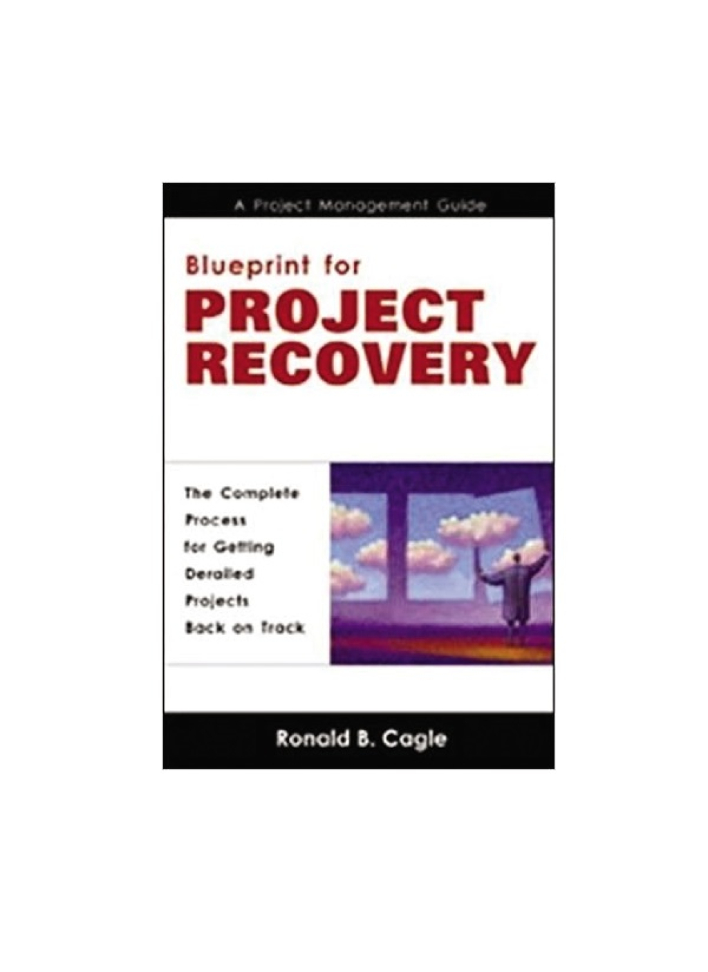 Blueprint for Project Recovery--A Project Management Guide - (PDF/EPUB Version)