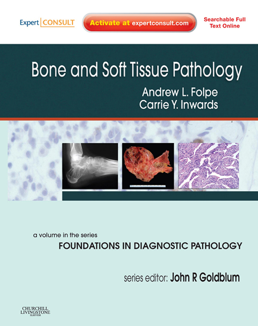 Bone and Soft Tissue Pathology A Volume in the Series: Foundations in ...