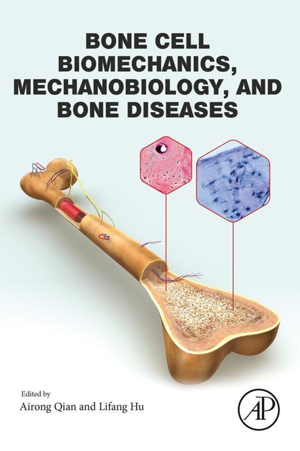 Bone Cell Biomechanics, Mechanobiology and Bone Diseases 1st Edition â€“ PDF/EPUB Version Downloadable