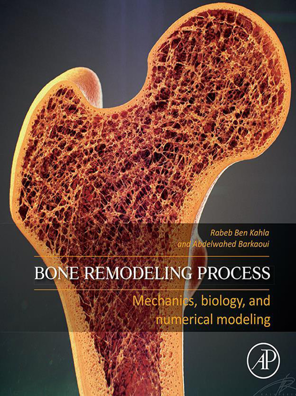 Bone Remodeling Process Mechanics, Biology, and Numerical Modeling â€“ PDF/EPUB Version Downloadable