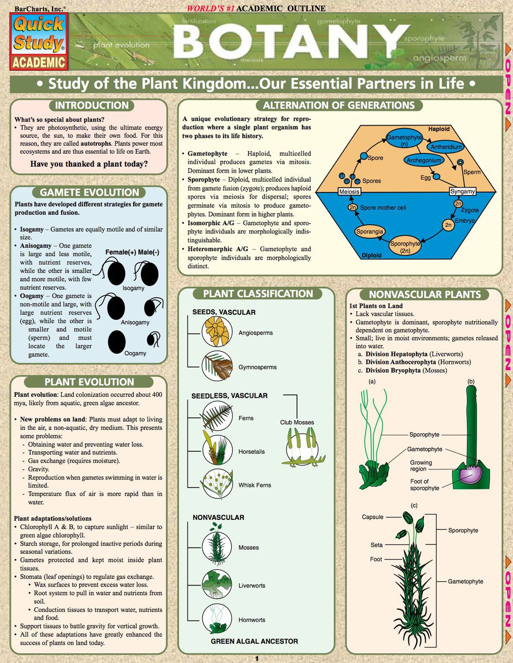 Botany 1st Edition - (PDF/EPUB Version)