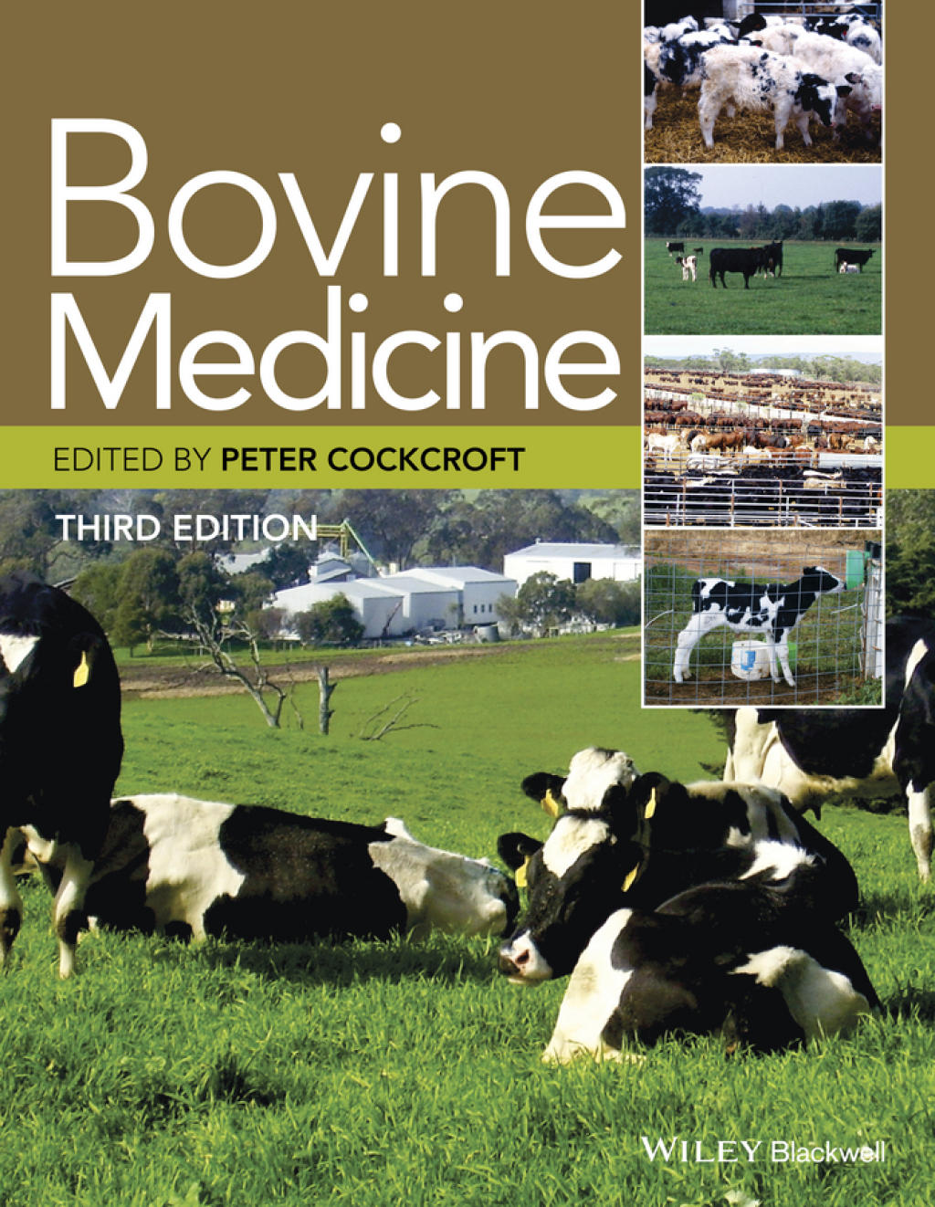 Bovine Medicine 3rd Edition â€“ PDF/EPUB Version Downloadable