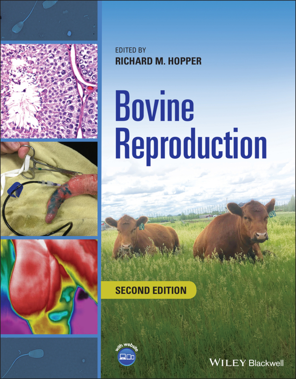 Bovine Reproduction, 2nd Edition 2nd Edition â€“ PDF/EPUB Version Downloadable