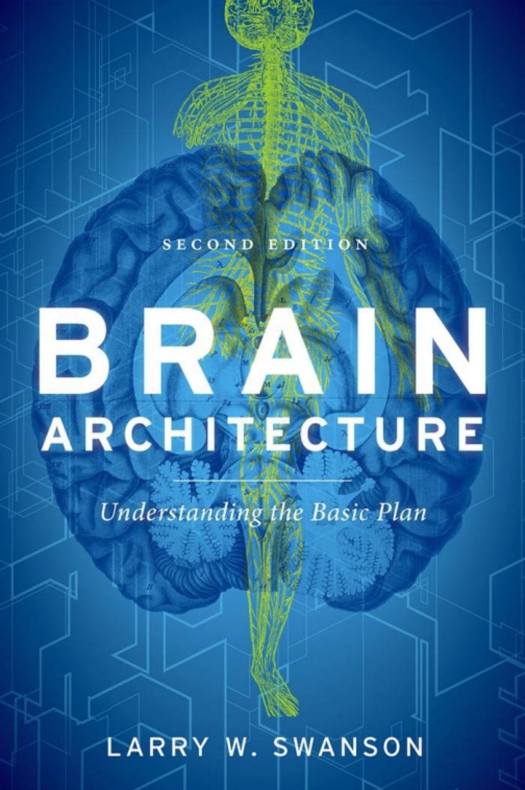 Brain Architecture – PDF/EPUB Version Downloadable – PremiumJS Store