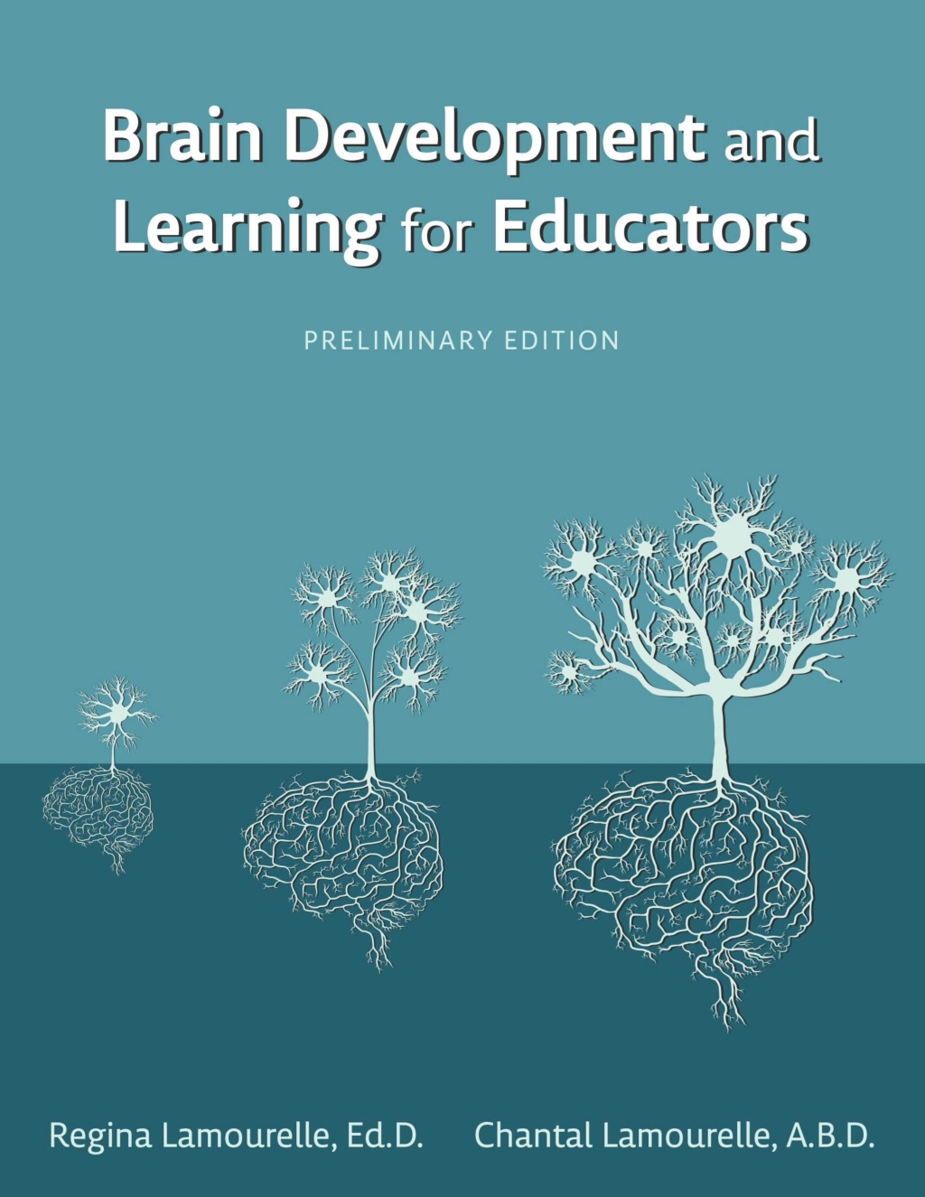 Brain Development and Learning for Educators 1st Edition â€“ PDF/EPUB Version Downloadable