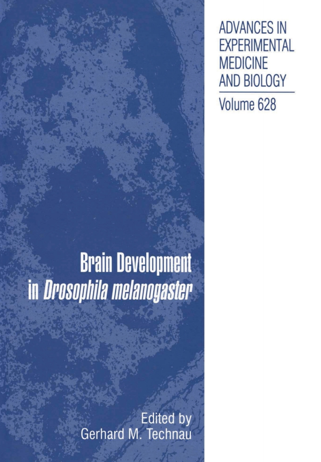 Brain Development in Drosophila melanogaster 1st Edition â€“ PDF/EPUB ...