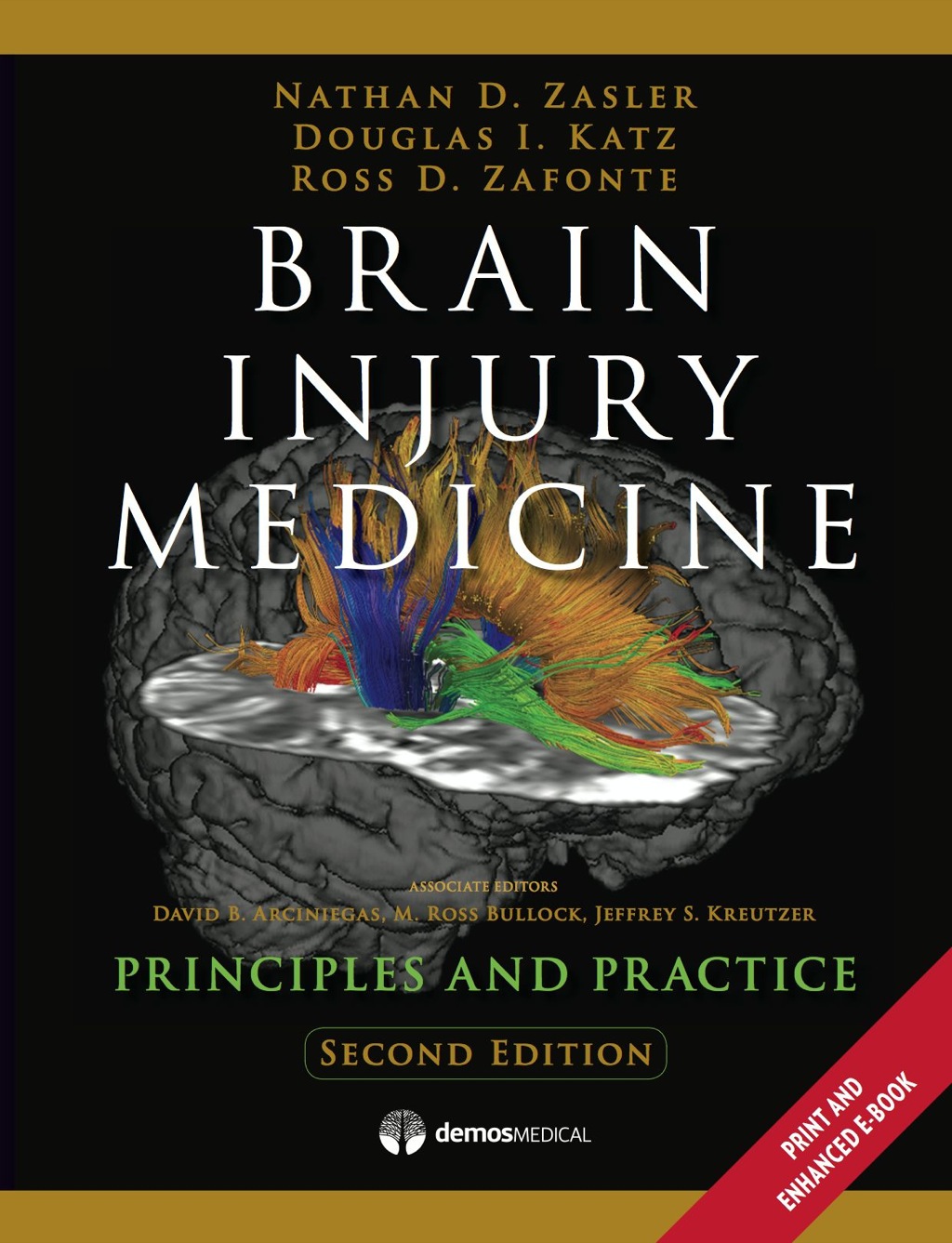 Brain Injury Medicine Principles and Practice 2nd Edition â€“ PDF/EPUB Version Downloadable