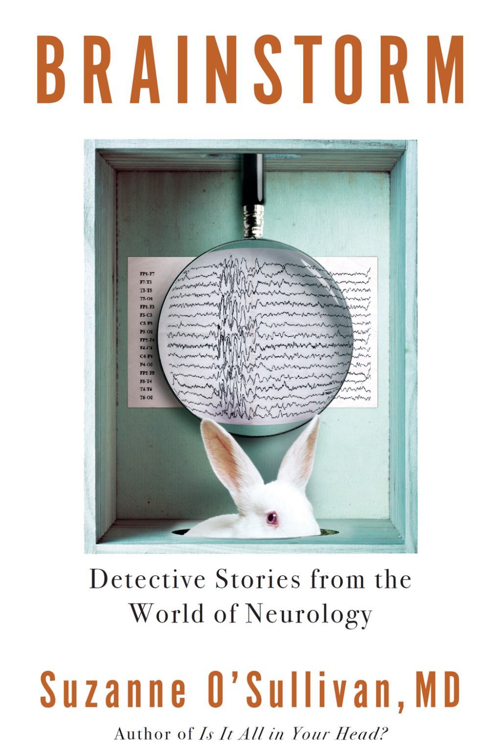Brainstorm Detective Stories from the World of Neurology - (PDF/EPUB Version)