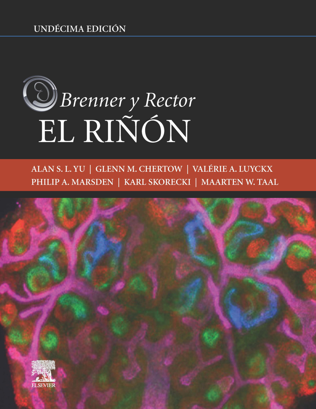 Brenner y Rector. El riÃ±Ã³n 11th Edition â€“ PDF/EPUB Version Downloadable