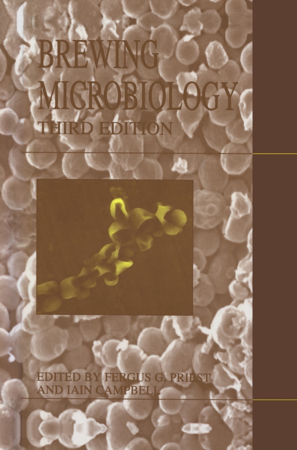 Brewing Microbiology 3rd Edition â€“ PDF/EPUB Version Downloadable
