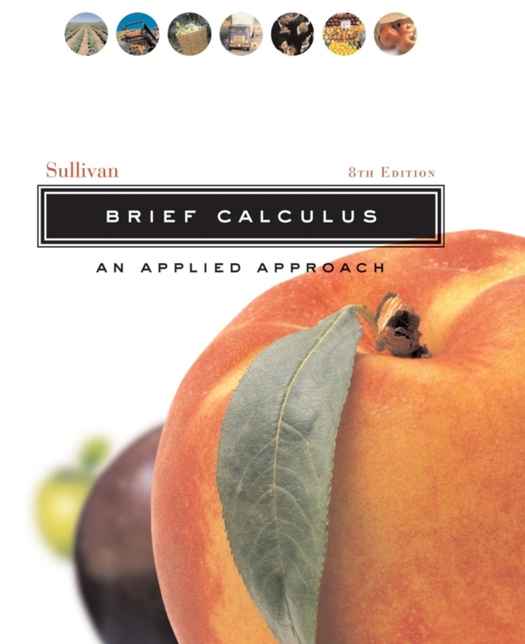 Brief Calculus: An Applied Approach 8th Edition â€“ PDF/EPUB Version Downloadable