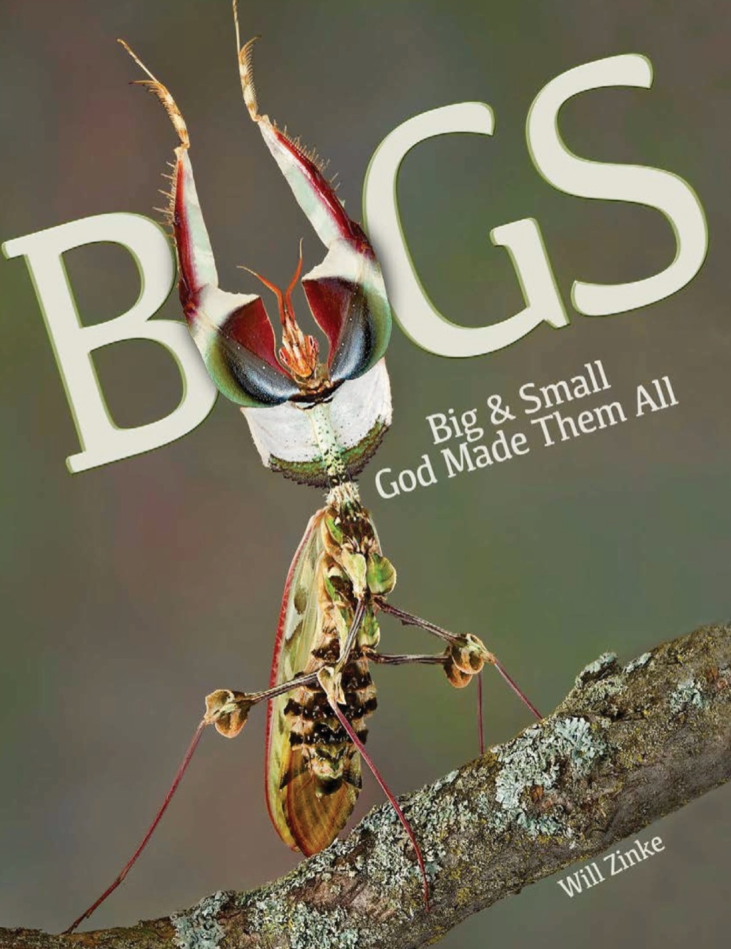 Bugs - (PDF/EPUB Version)