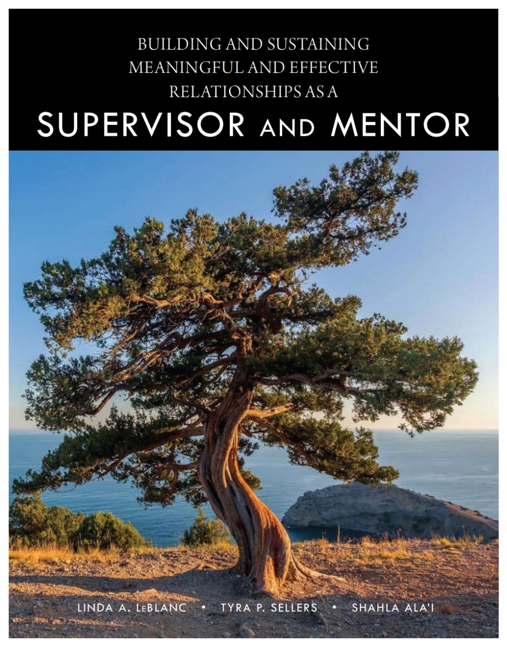Building and Sustaining Meaningful and Effective Relationships as a Supervisor and Mentor 1st Edition â€“ PDF/EPUB Version Downloadable