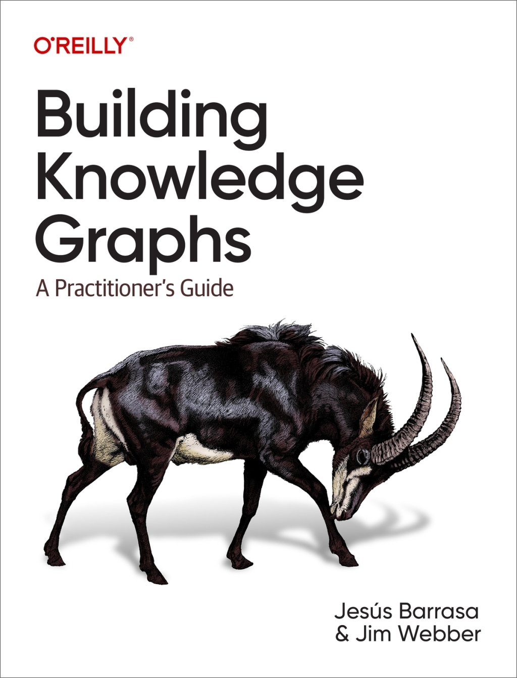 Building Knowledge Graphs A Practitioner's Guide 1st Edition â€“ PDF/EPUB Version Downloadable