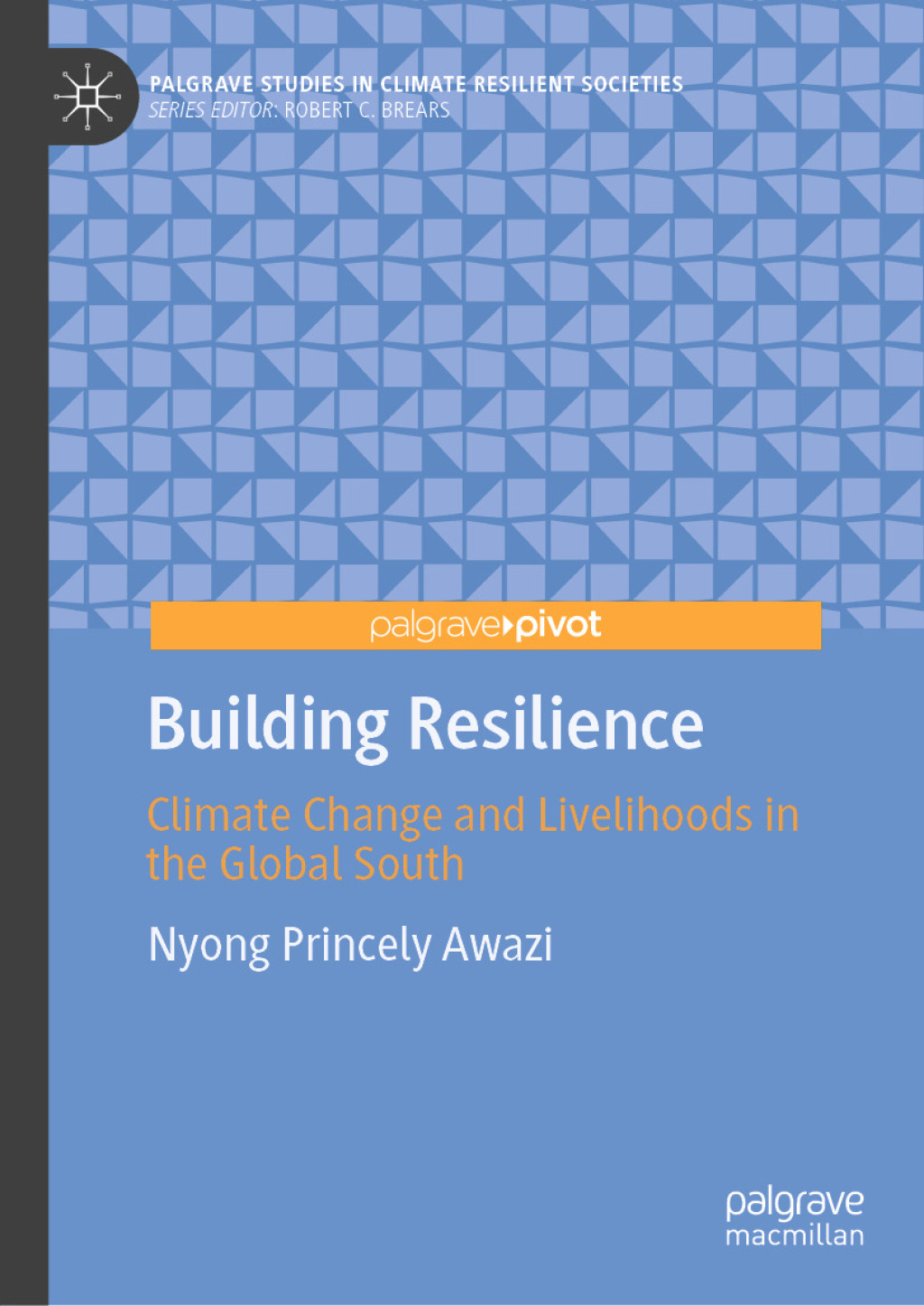 Building Resilience Climate Change and Livelihoods in the Global South ...