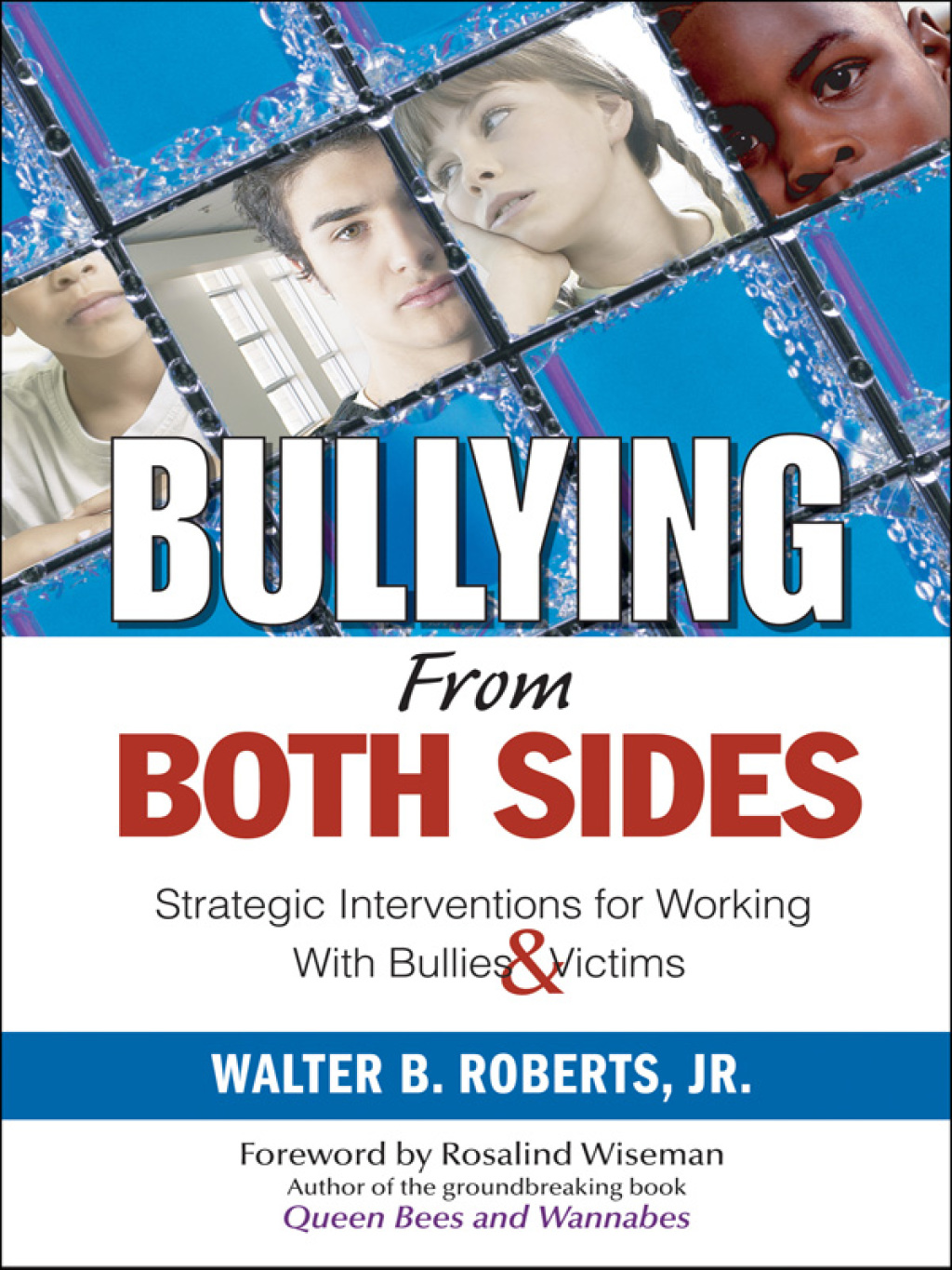 Bullying From Both Sides Strategic Interventions for Working With Bullies & Victims 1st Edition - (PDF/EPUB Version)