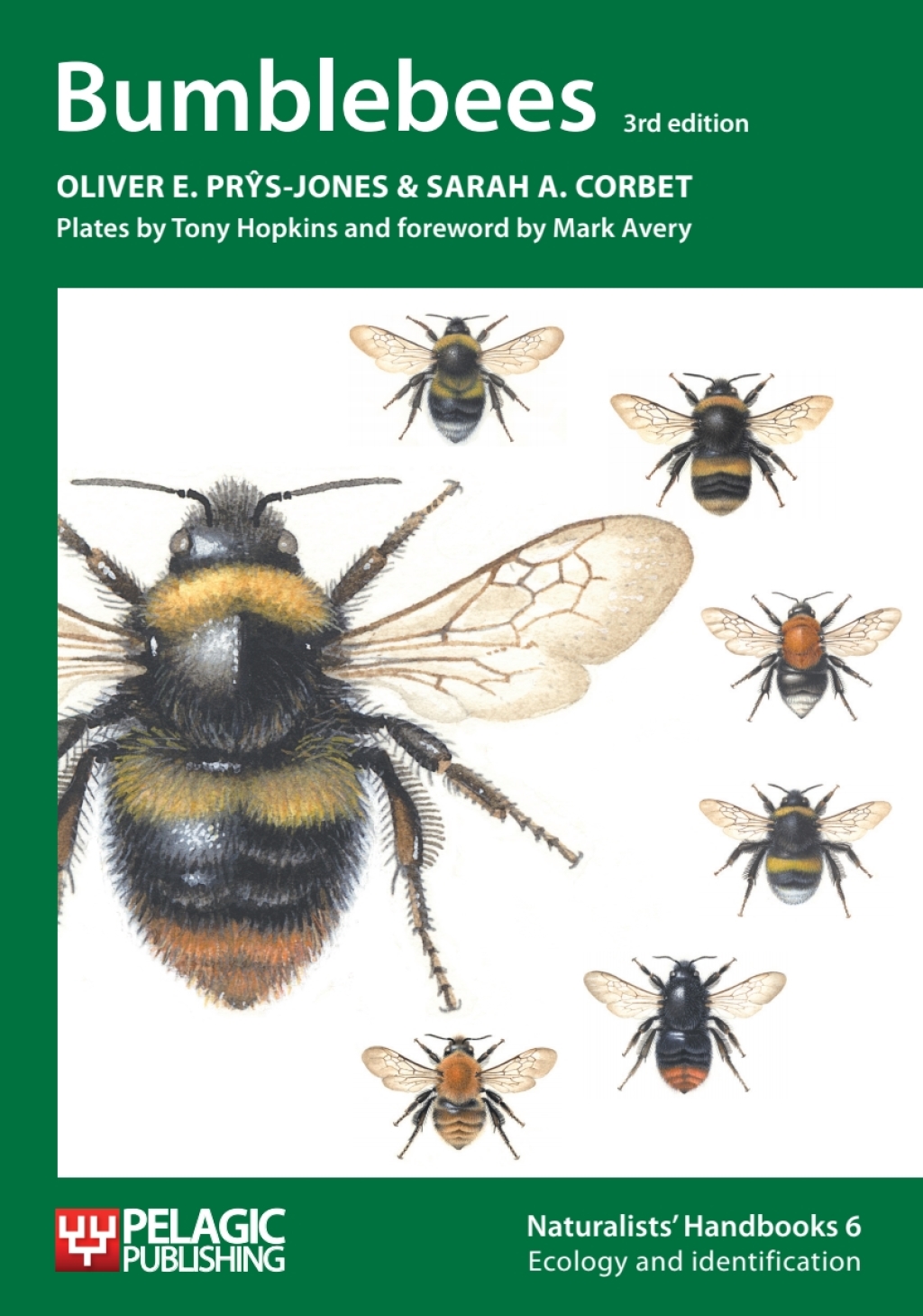 Bumblebees 3rd Edition - (PDF/EPUB Version)