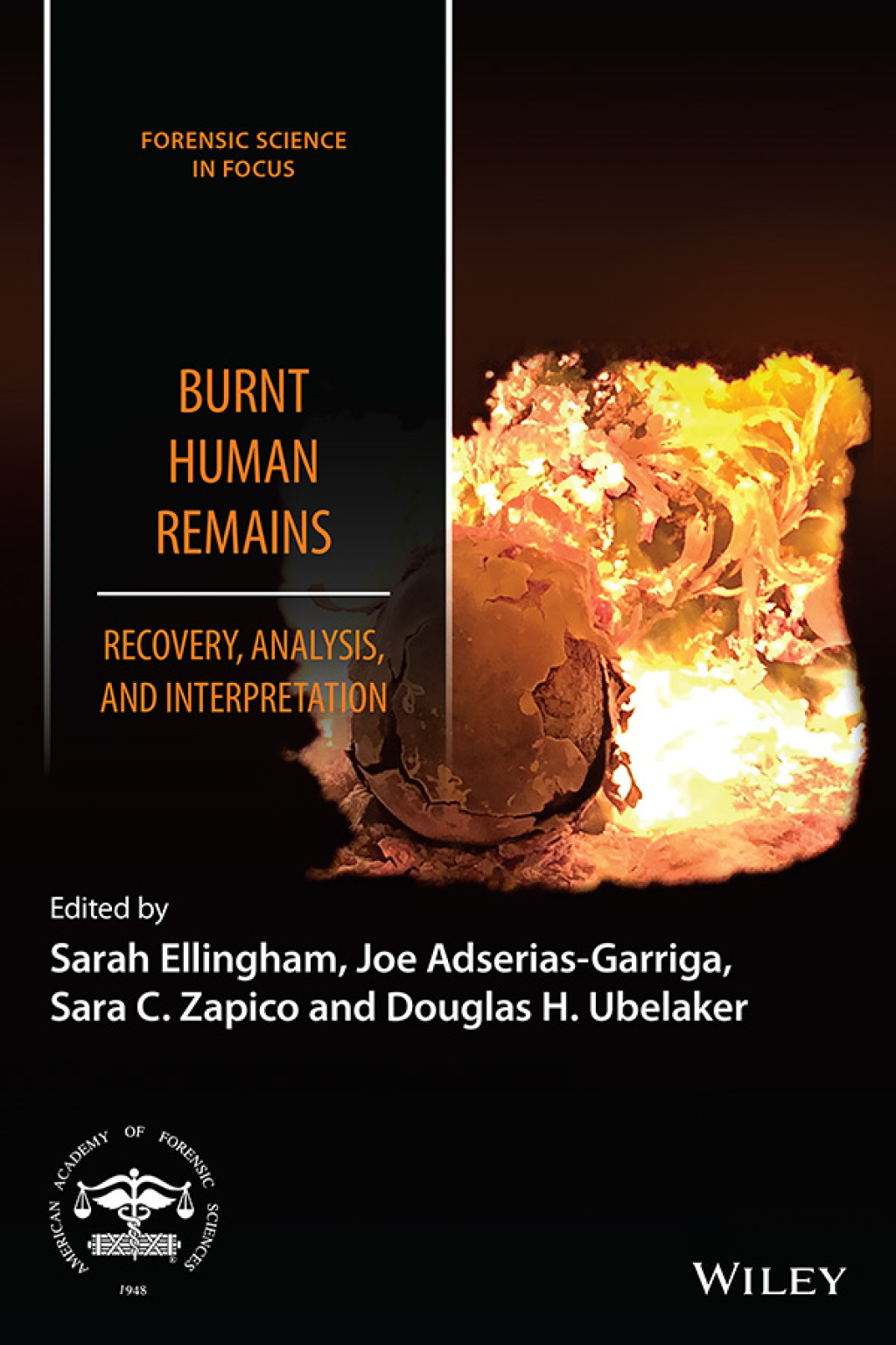 Burnt Human Remains Recovery, Analysis, and Interpretation 1st Edition â€“ PDF/EPUB Version Downloadable