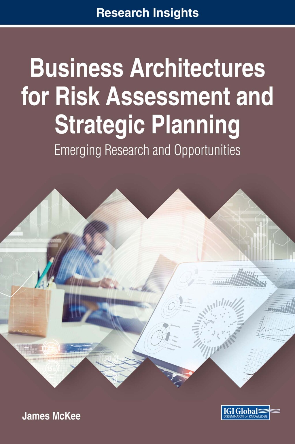 Business Architectures for Risk Assessment and Strategic Planning: Emerging Research and Opportunities â€“ PDF/EPUB Version Downloadable