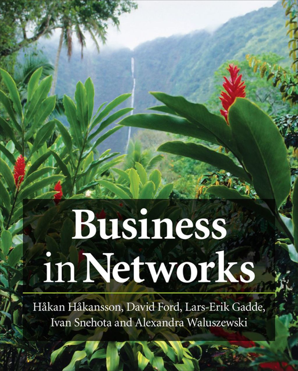 Business in Networks 1st Edition â€“ PDF/EPUB Version Downloadable