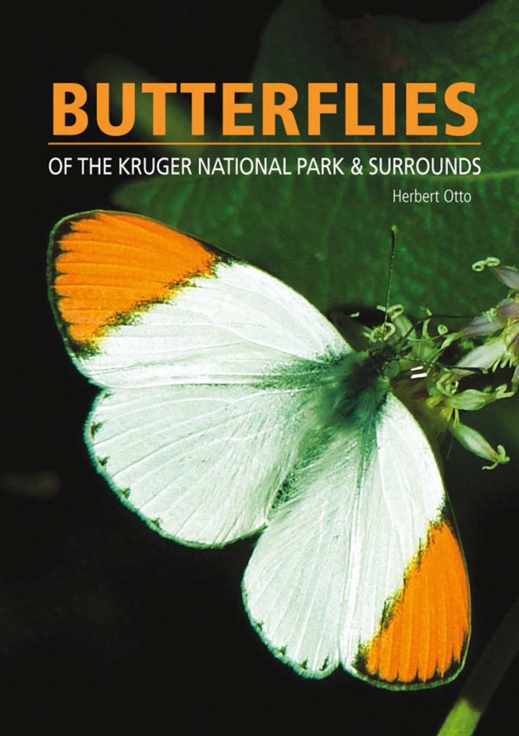Butterflies of the Kruger National Park and Surrounds 1st Edition - (PDF/EPUB Version)