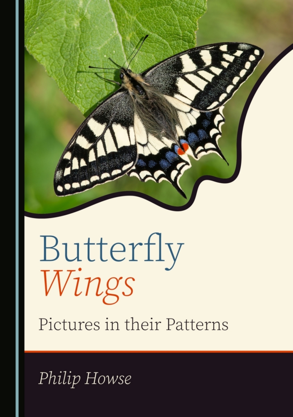 Butterfly Wings Pictures in their Patterns 1st Edition â€“ PDF/EPUB Version Downloadable