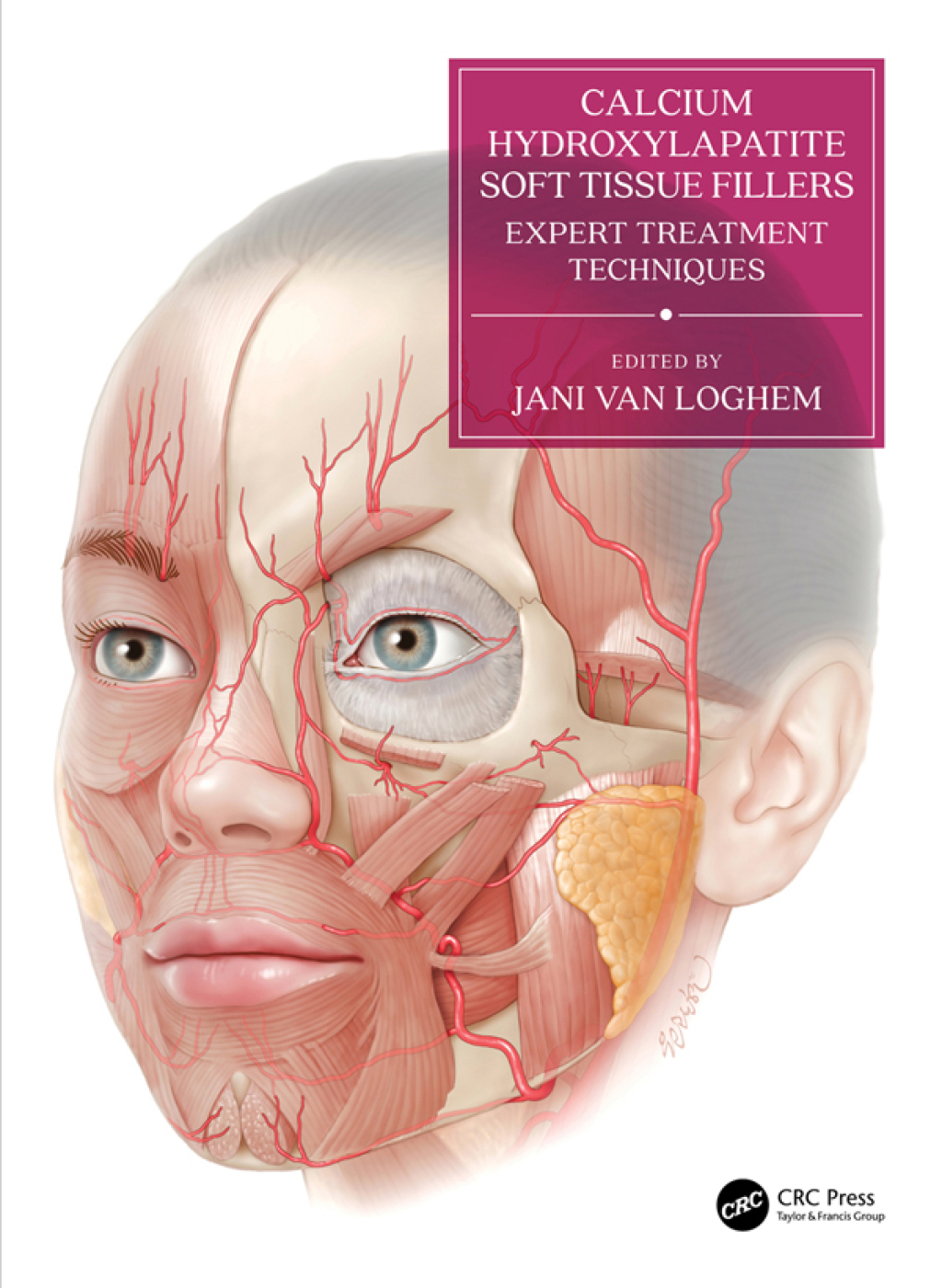 Calcium Hydroxylapatite Soft Tissue Fillers Expert Treatment Techniques 1st Edition â€“ PDF/EPUB Version Downloadable