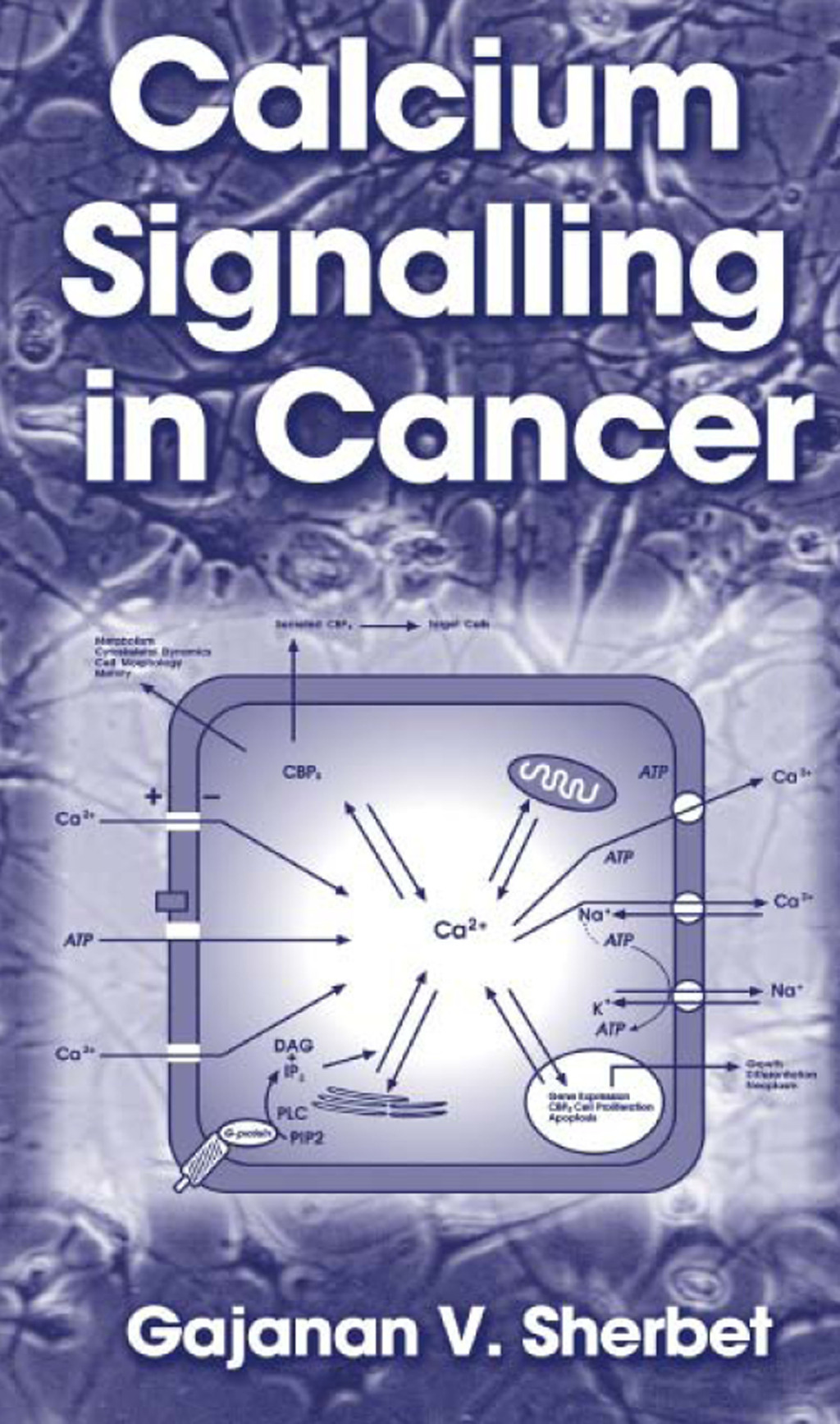 Calcium Signalling in Cancer 1st Edition â€“ PDF/EPUB Version Downloadable