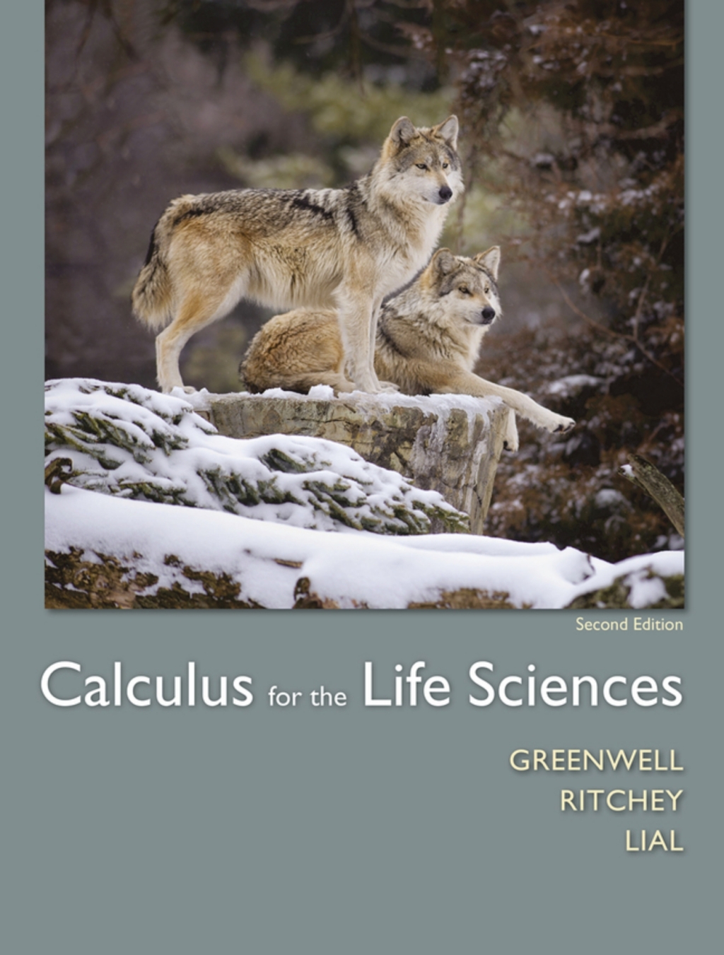 Calculus for the Life Sciences (Pearson+) 2nd Edition â€“ PDF/EPUB Version Downloadable
