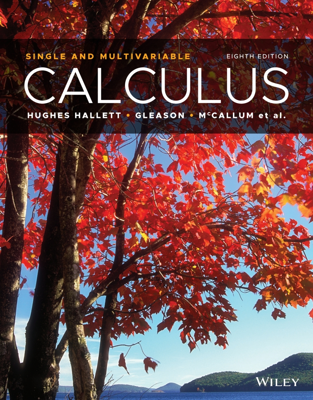 Calculus: Single and Multivariable 8th Edition WileyPLUS Single-term 8th Edition â€“ PDF/EPUB Version Downloadable
