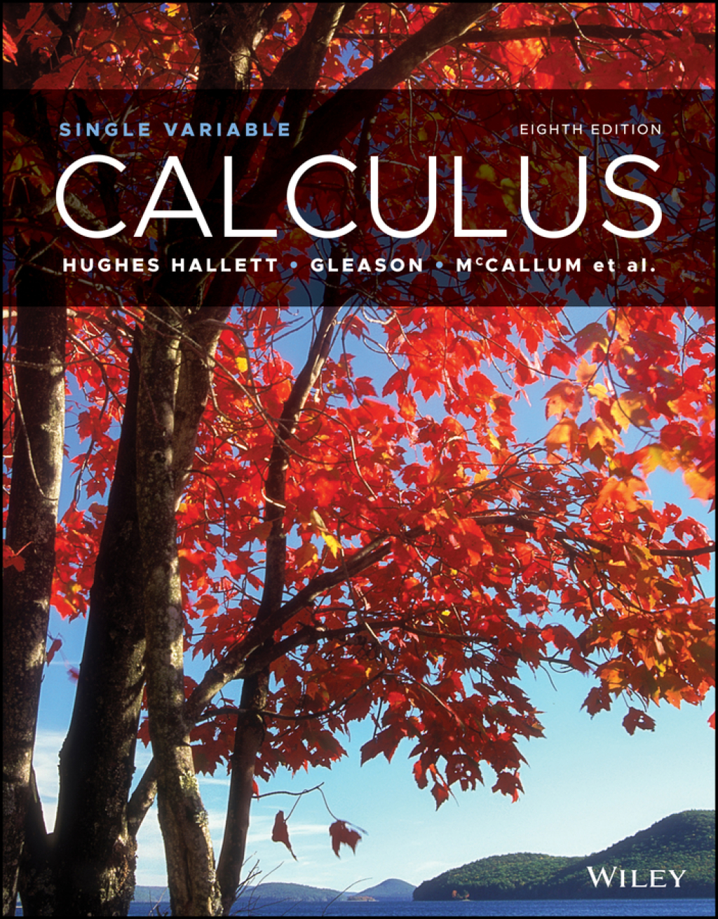 Calculus: Single Variable, Enhanced eText 8th Edition â€“ PDF/EPUB Version Downloadable