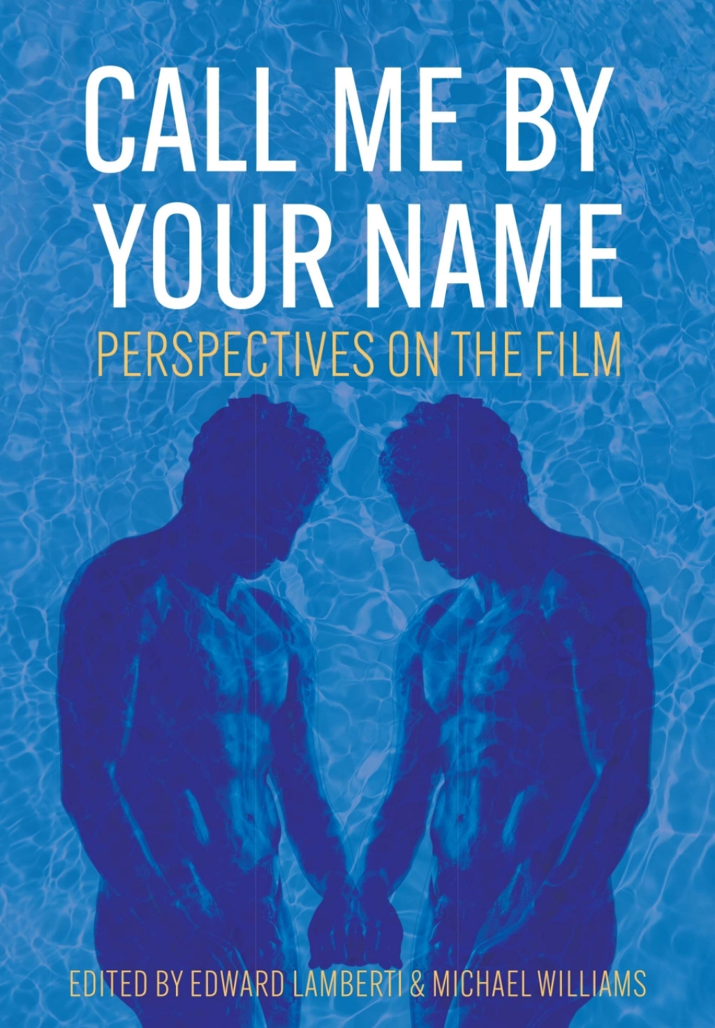 Call Me by Your Name Perspectives on the Film â€“ PDF/EPUB Version Downloadable