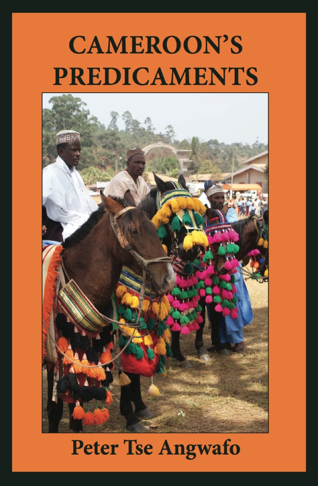 Cameroon's Predicaments 1st Edition â€“ PDF/EPUB Version Downloadable