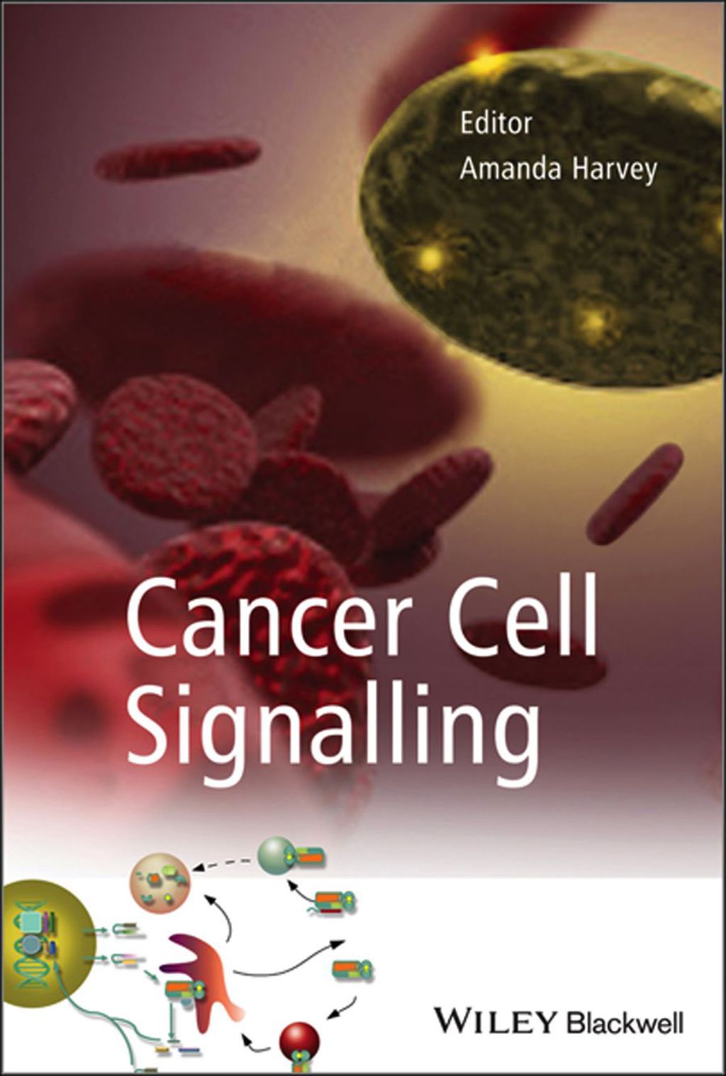Cancer Cell Signalling 1st Edition â€“ PDF/EPUB Version Downloadable ...