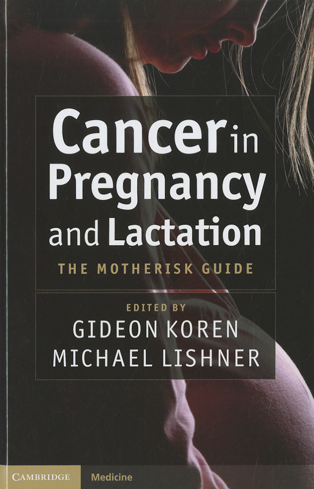Cancer in Pregnancy and Lactation The Motherisk Guide 1st Edition â€“ PDF/EPUB Version Downloadable