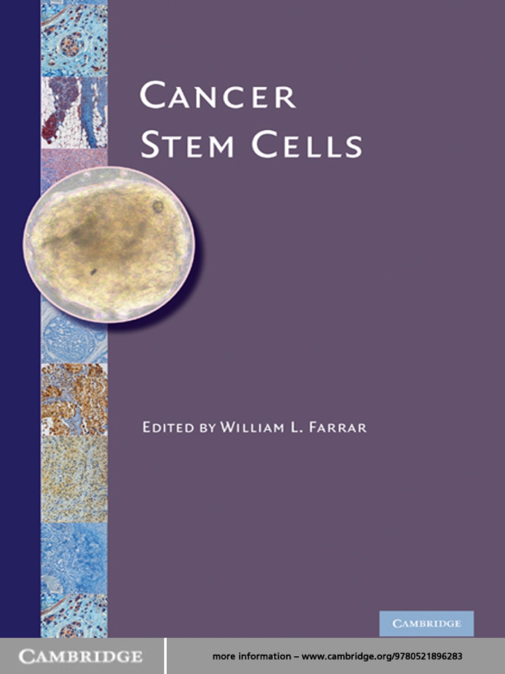 Cancer Stem Cells 1st Edition – PDF/EPUB Version Downloadable Cancer Stem Cells 1st Edition – PDF/EPUB Version Downloadable - Image 1