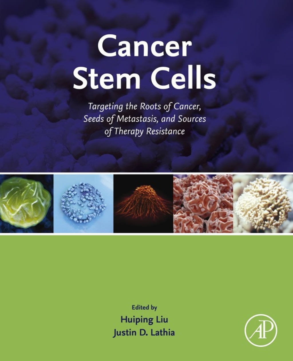 Cancer Stem Cells Targeting the Roots of Cancer, Seeds of Metastasis ...