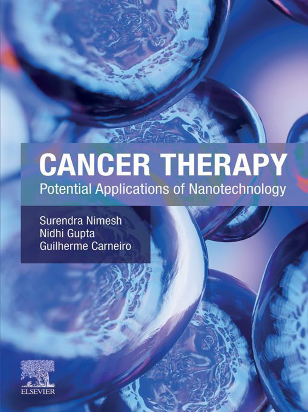 Cancer Therapy Potential Applications of Nanotechnology 1st Edition â ...