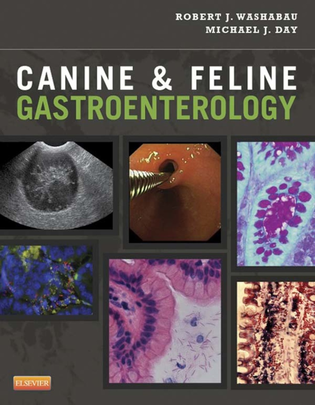 Canine and Feline Gastroenterology â€“ PDF/EPUB Version Downloadable