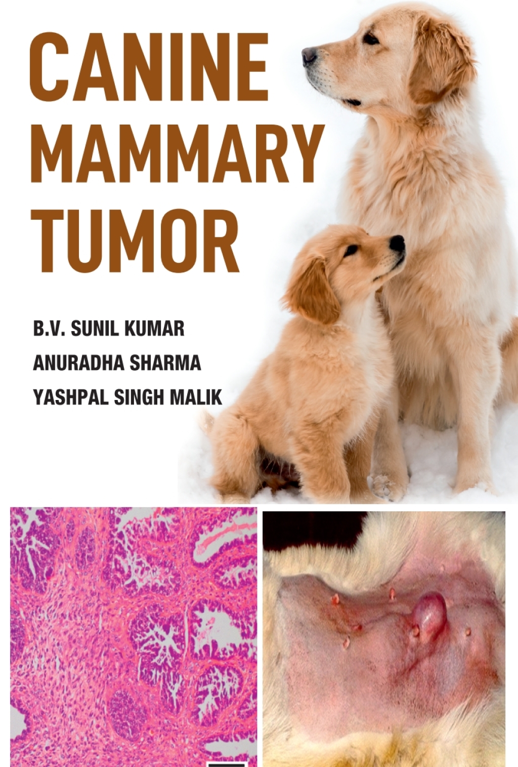 Canine Mammary Tumor 1st Edition â€“ PDF/EPUB Version Downloadable
