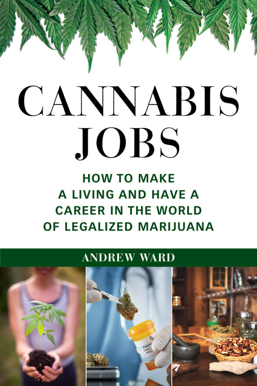 Cannabis Jobs How to Make a Living and Have a Career in the World of Legalized Marijuana - (PDF/EPUB Version)