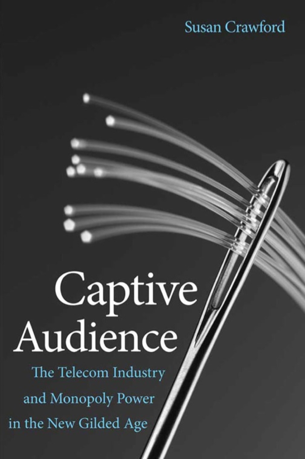 Captive Audience - (PDF/EPUB Version)