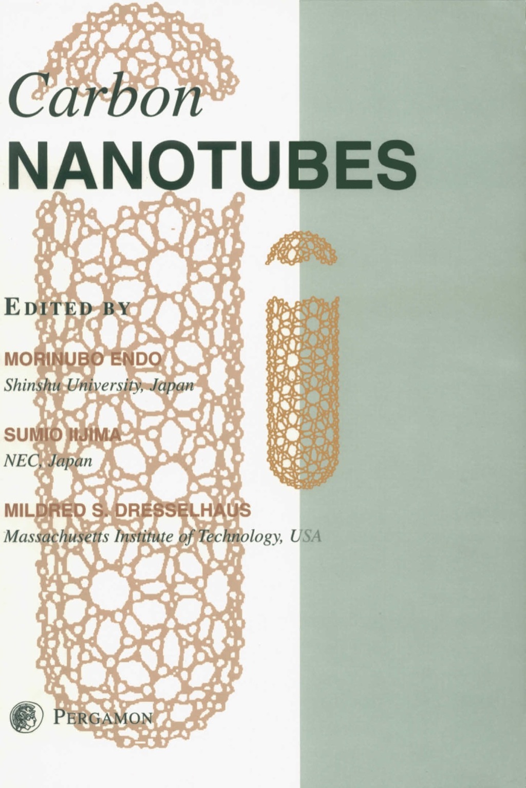 Carbon Nanotubes â€“ PDF/EPUB Version Downloadable