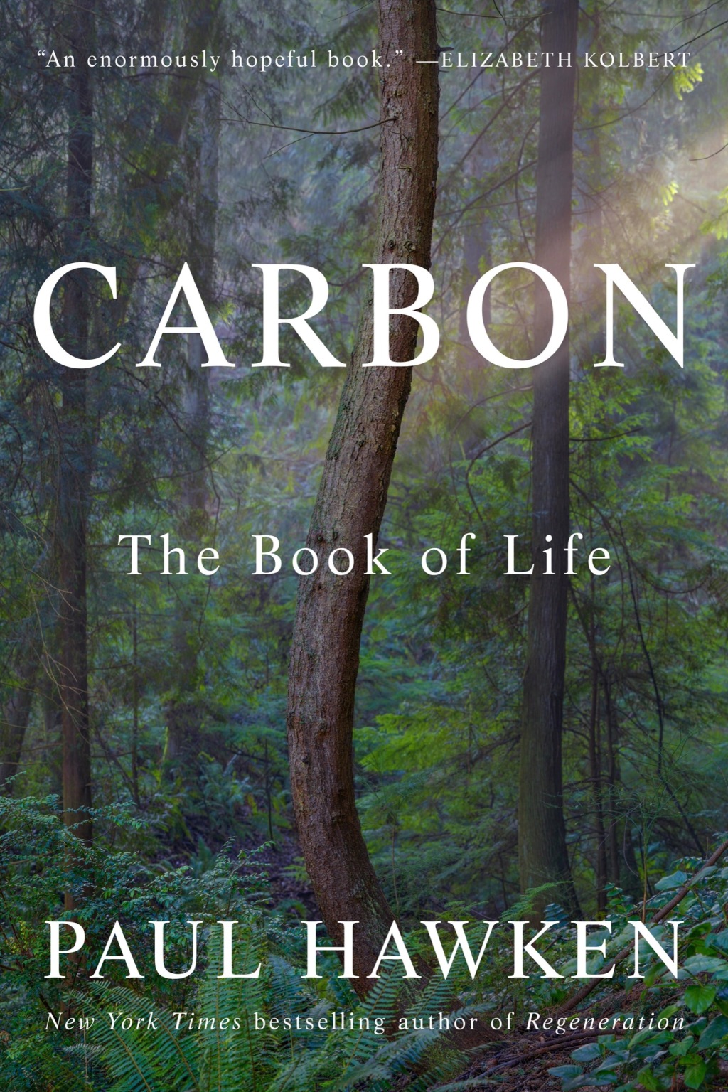 Carbon The Book of Life - (PDF/EPUB Version)