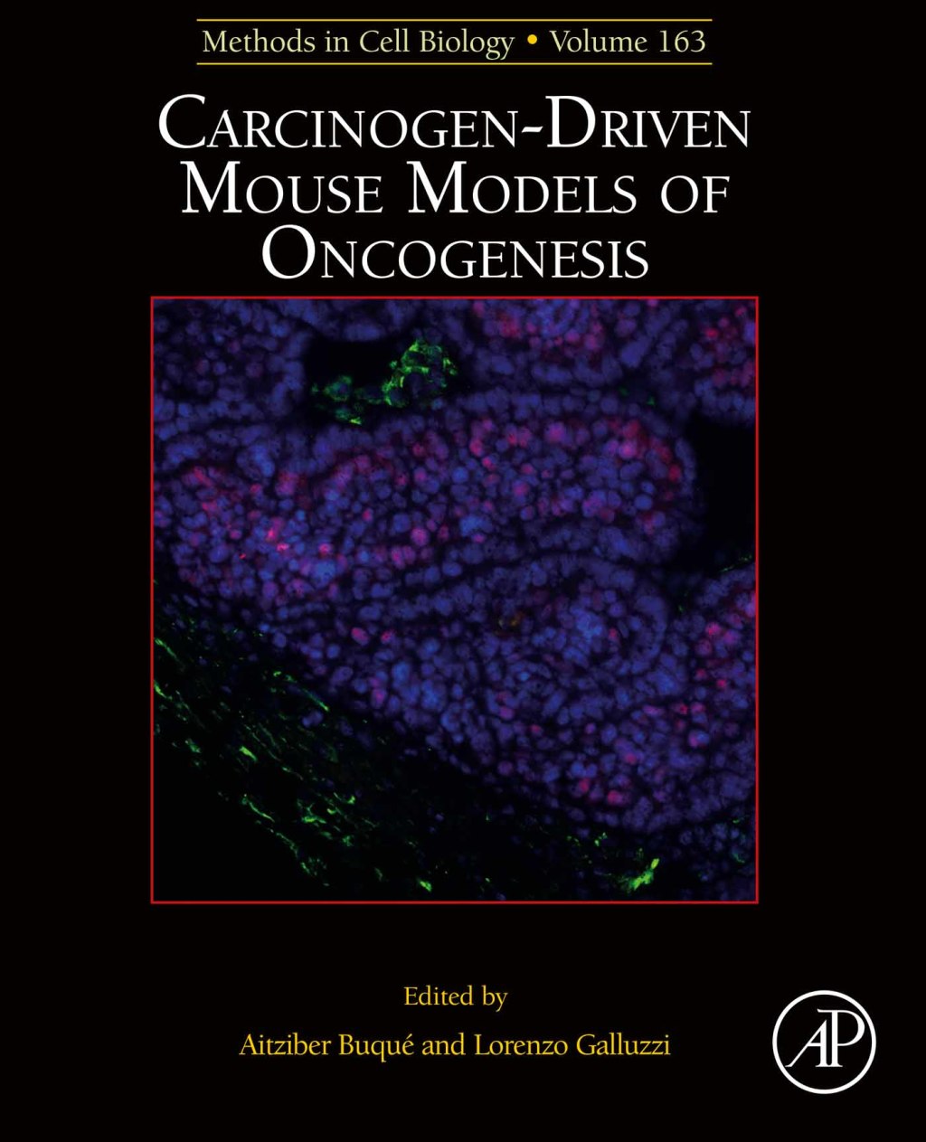Carcinogen-Driven Mouse Models of Oncogenesis â€“ PDF/EPUB Version Downloadable