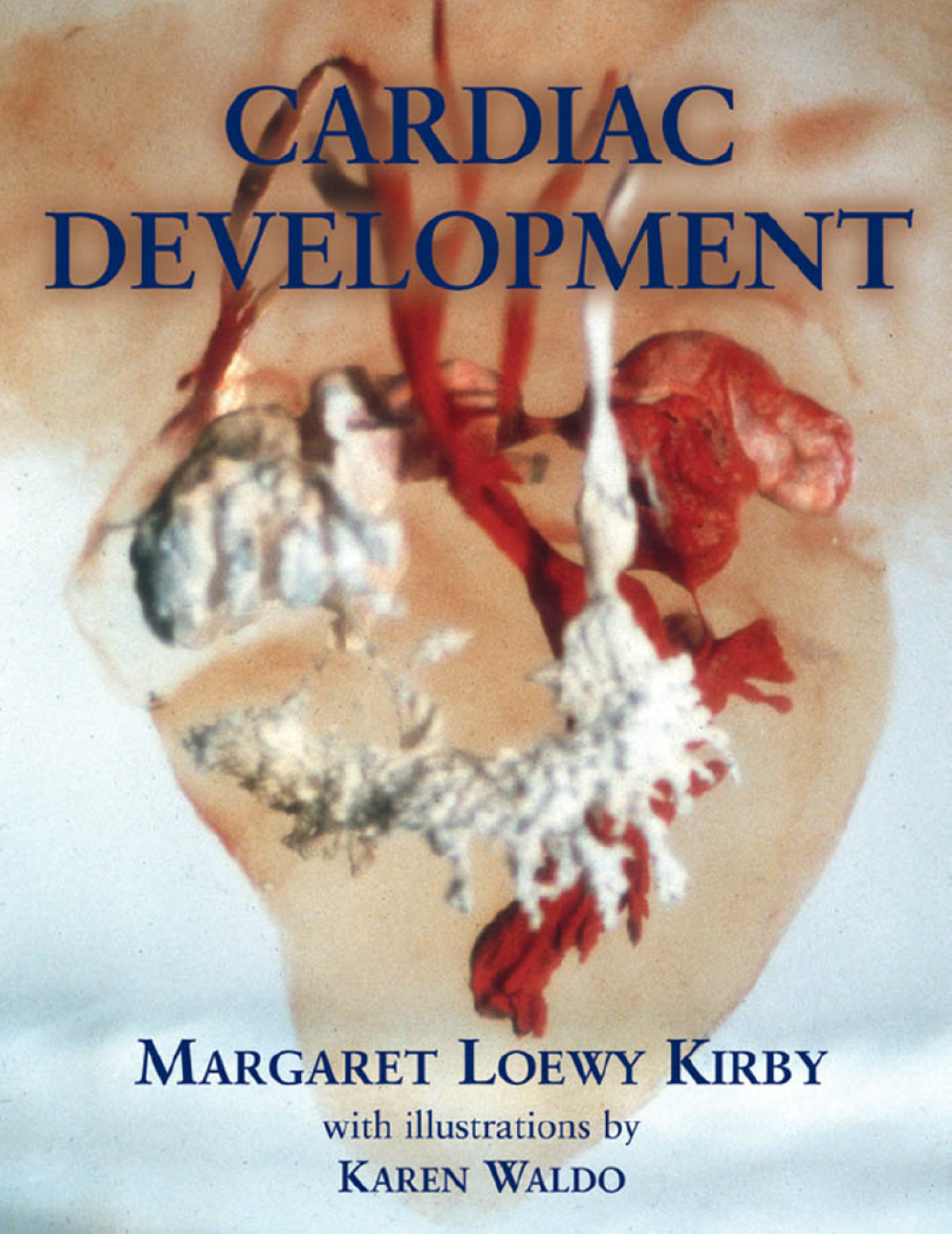 Cardiac Development â€“ PDF/EPUB Version Downloadable