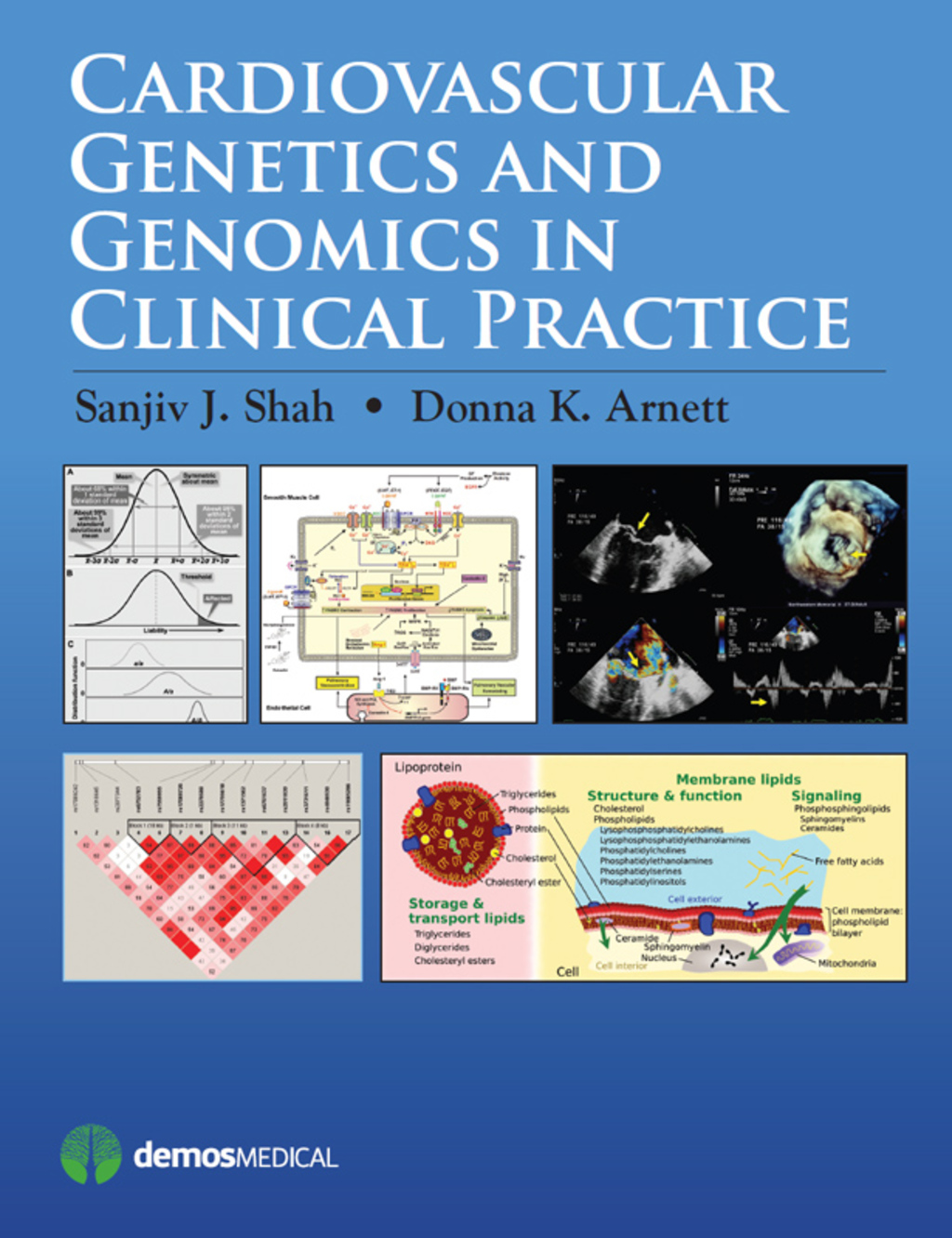 Cardiovascular Genetics and Genomics in Clinical Practice 1st Edition â€“ PDF/EPUB Version Downloadable