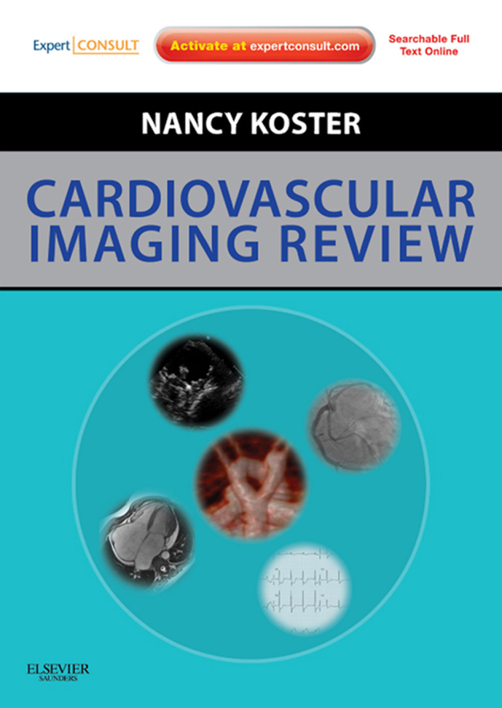 Cardiovascular Imaging Review - Electronic 1st Edition â€“ PDF/EPUB Version Downloadable